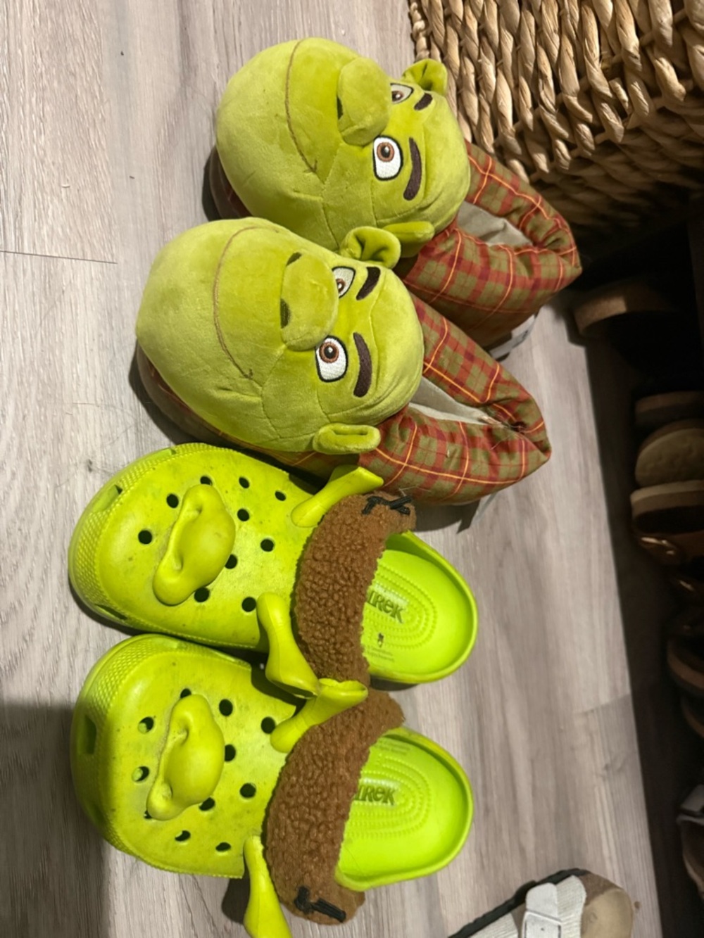 Shrek Kids' Plush Slippers and Clog Set